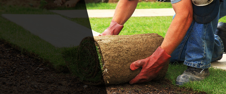Sunburg Landscapers